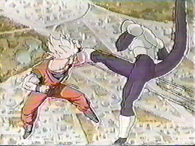 Dragonball OVA (25).jpg